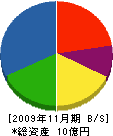 日本電機 貸借対照表 2009年11月期