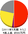 広田電工 損益計算書 2011年5月期