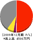 中島水道工事店 損益計算書 2009年12月期