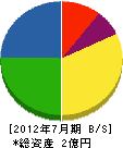 田中電気工務店 貸借対照表 2012年7月期
