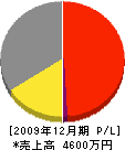 矢敷電工 損益計算書 2009年12月期