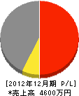 笠江工業 損益計算書 2012年12月期