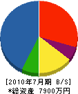親川鋼業 貸借対照表 2010年7月期