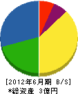 鶴谷秀電社 貸借対照表 2012年6月期