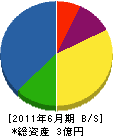 伊藤組 貸借対照表 2011年6月期