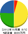 松山鉄工所 貸借対照表 2012年10月期