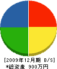 磯崎塗装 貸借対照表 2009年12月期