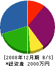 太田電機設備 貸借対照表 2008年12月期