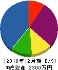 豊川鉄工 貸借対照表 2010年12月期