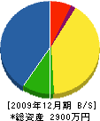 渋谷設備 貸借対照表 2009年12月期