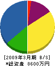 福井建設 貸借対照表 2009年3月期