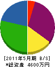 丸章石材工業 貸借対照表 2011年5月期