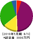 関澤電気商会 貸借対照表 2010年5月期