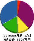 細川建設 貸借対照表 2010年9月期