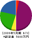 川原組 貸借対照表 2009年5月期