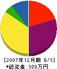 渡辺建築板金店 貸借対照表 2007年12月期