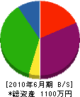 エクステリア篠栗 貸借対照表 2010年6月期