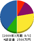 上川原電気工事店 貸借対照表 2009年3月期