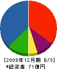 東海物産 貸借対照表 2009年12月期