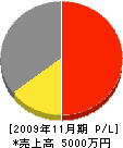 島田建設 損益計算書 2009年11月期
