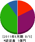 ヤナギサワ 貸借対照表 2011年6月期