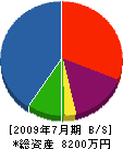野田組 貸借対照表 2009年7月期