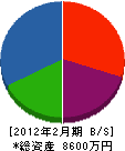 渡辺技研工業 貸借対照表 2012年2月期