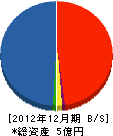 山翔建設 貸借対照表 2012年12月期