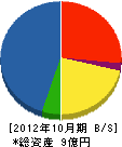 長沢建設 貸借対照表 2012年10月期