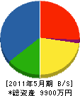 中日本ペイント 貸借対照表 2011年5月期