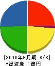保田ガラス店 貸借対照表 2010年6月期