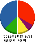 前川硝子 貸借対照表 2012年3月期