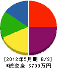 山竹能代工業所 貸借対照表 2012年5月期