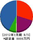 曽根川施工 貸借対照表 2012年3月期
