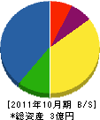 東京信技 貸借対照表 2011年10月期