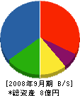 松原工務店 貸借対照表 2008年9月期