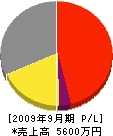 大塚石材店 損益計算書 2009年9月期