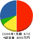 志村石ヤ 貸借対照表 2008年1月期
