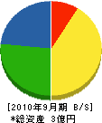 岡崎リサイクルセンター 貸借対照表 2010年9月期