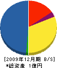 前田吉彦商店 貸借対照表 2009年12月期