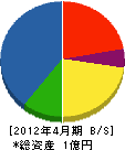 大滝小太郎商店 貸借対照表 2012年4月期