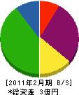 日本テック 貸借対照表 2011年2月期