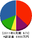 坂根組 貸借対照表 2011年6月期