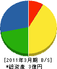 平川塗装 貸借対照表 2011年3月期
