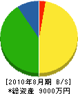 竹田組 貸借対照表 2010年8月期