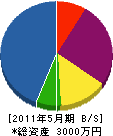 辻電気商会 貸借対照表 2011年5月期