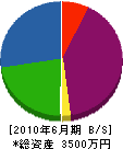 塩田塗装店 貸借対照表 2010年6月期