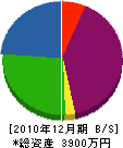 辛島組 貸借対照表 2010年12月期