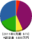 庭彦 貸借対照表 2011年6月期