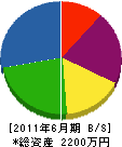 大波野建設 貸借対照表 2011年6月期